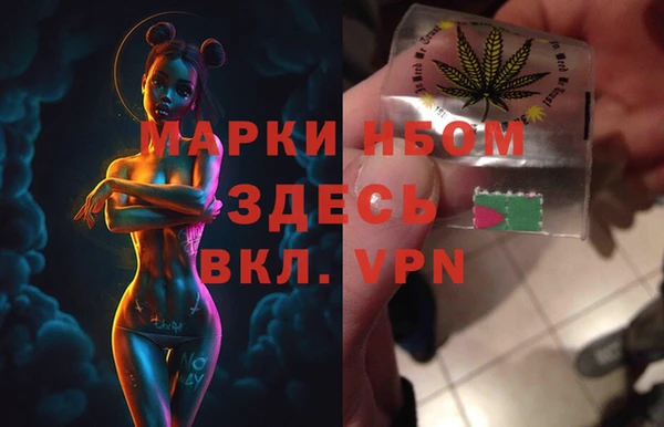 PSILOCYBIN Бородино